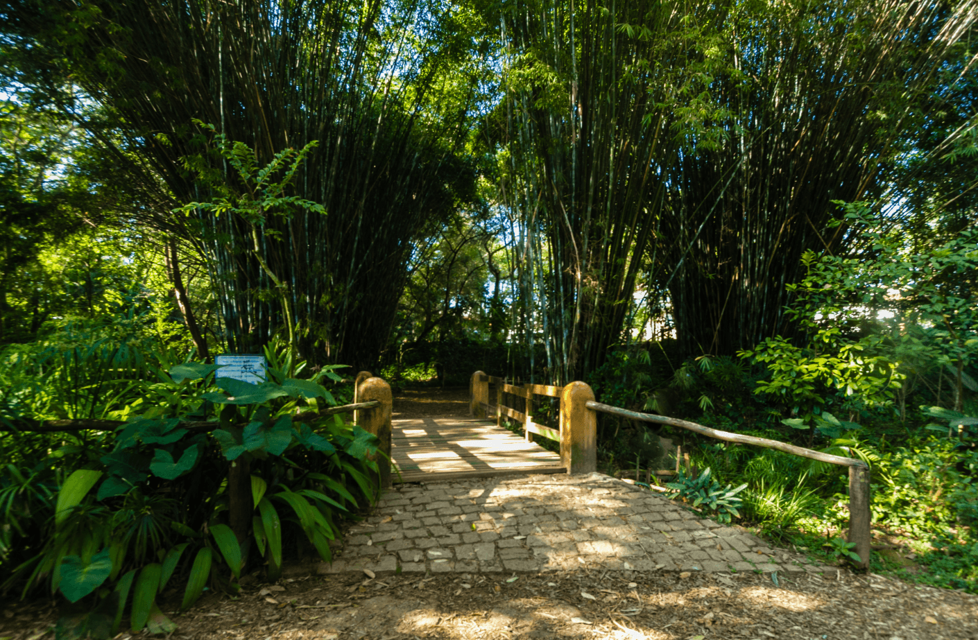 A apenas 10 min do Parque Severo Gomes
